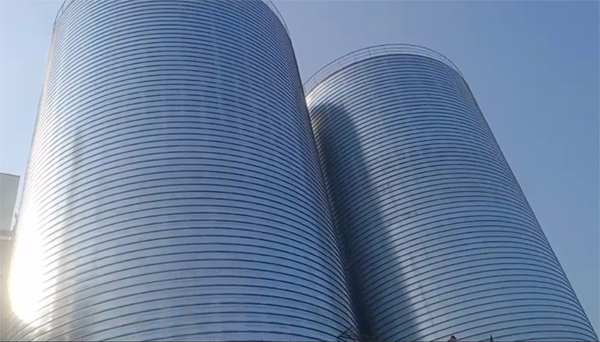 无棣2座混凝土高架卷板仓